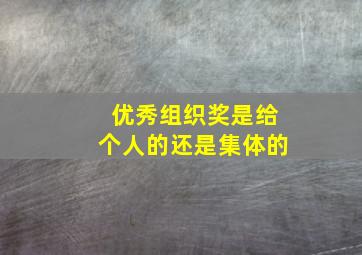 优秀组织奖是给个人的还是集体的