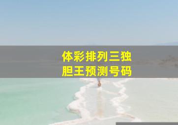 体彩排列三独胆王预测号码