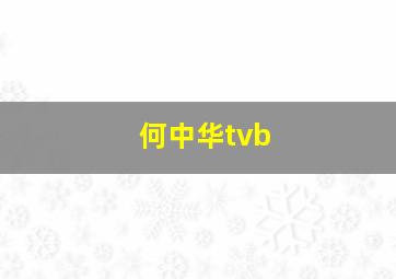 何中华tvb