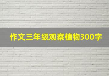 作文三年级观察植物300字