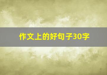 作文上的好句子30字