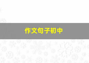 作文句子初中