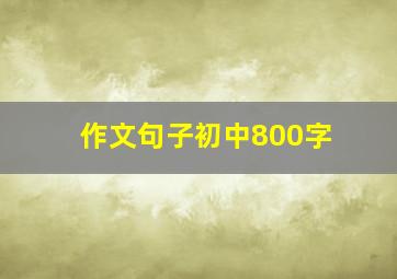 作文句子初中800字