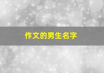 作文的男生名字