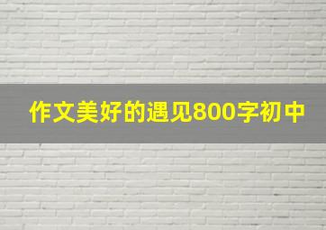 作文美好的遇见800字初中