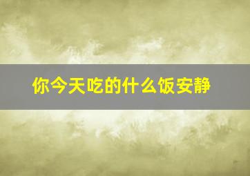 你今天吃的什么饭安静