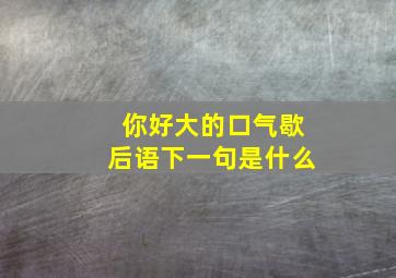 你好大的口气歇后语下一句是什么