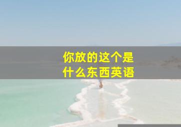 你放的这个是什么东西英语