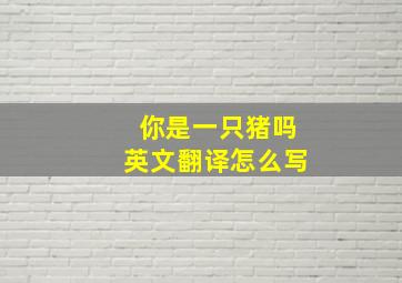 你是一只猪吗英文翻译怎么写