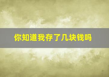 你知道我存了几块钱吗