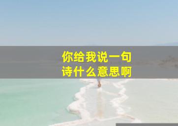 你给我说一句诗什么意思啊