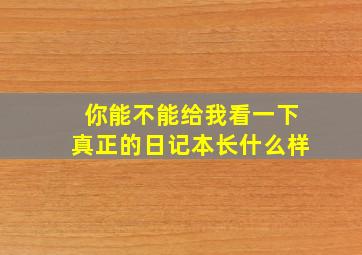 你能不能给我看一下真正的日记本长什么样