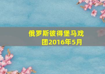 俄罗斯彼得堡马戏团2016年5月