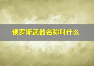 俄罗斯武器名称叫什么