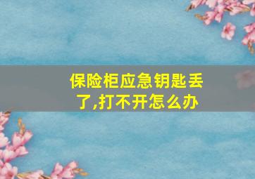 保险柜应急钥匙丢了,打不开怎么办