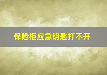 保险柜应急钥匙打不开