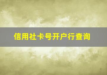 信用社卡号开户行查询