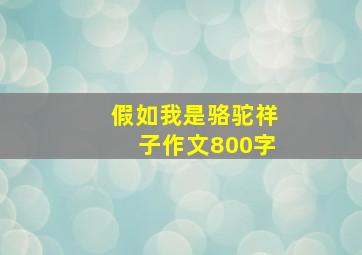 假如我是骆驼祥子作文800字