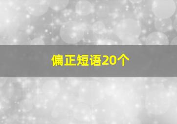 偏正短语20个