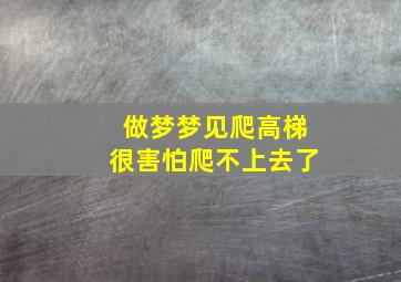 做梦梦见爬高梯很害怕爬不上去了