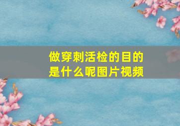 做穿刺活检的目的是什么呢图片视频