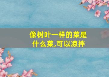 像树叶一样的菜是什么菜,可以凉拌