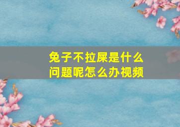 兔子不拉屎是什么问题呢怎么办视频