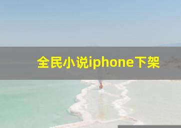 全民小说iphone下架