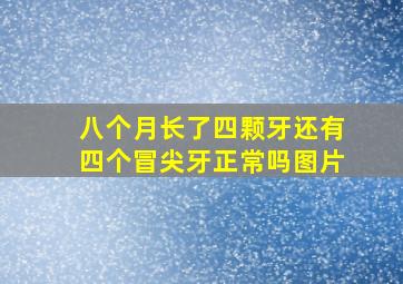 八个月长了四颗牙还有四个冒尖牙正常吗图片