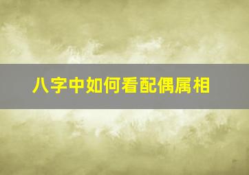 八字中如何看配偶属相