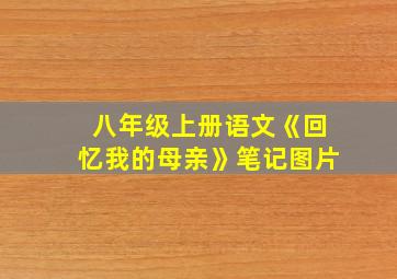 八年级上册语文《回忆我的母亲》笔记图片