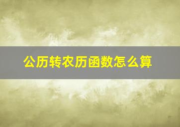 公历转农历函数怎么算