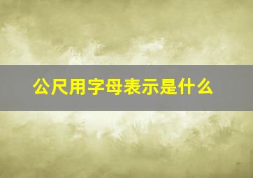 公尺用字母表示是什么