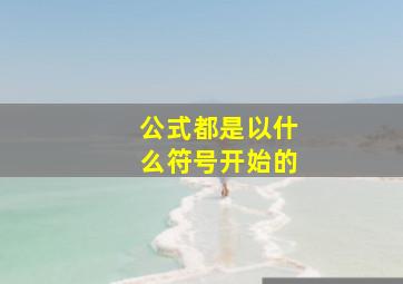 公式都是以什么符号开始的