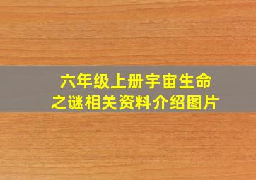 六年级上册宇宙生命之谜相关资料介绍图片