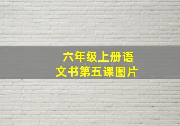 六年级上册语文书第五课图片