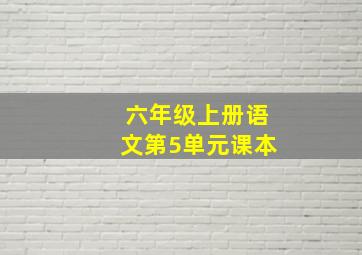 六年级上册语文第5单元课本