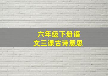 六年级下册语文三课古诗意思