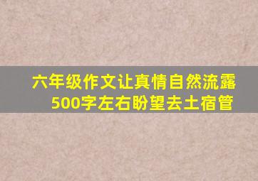 六年级作文让真情自然流露500字左右盼望去土宿管