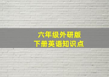 六年级外研版下册英语知识点