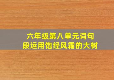 六年级第八单元词句段运用饱经风霜的大树