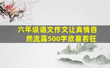 六年级语文作文让真情自然流露500字欣喜若狂