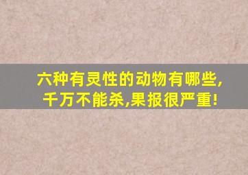 六种有灵性的动物有哪些,千万不能杀,果报很严重!