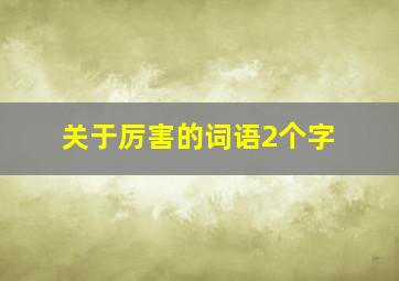 关于厉害的词语2个字