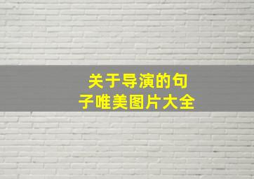 关于导演的句子唯美图片大全