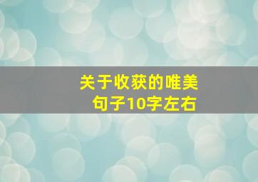 关于收获的唯美句子10字左右