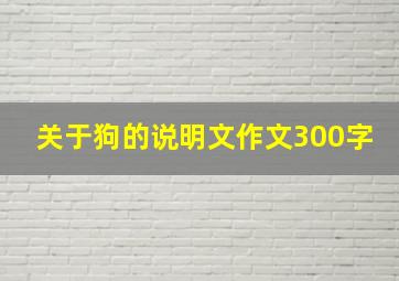 关于狗的说明文作文300字