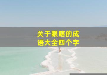 关于眼瞎的成语大全四个字