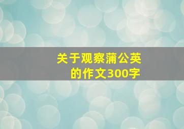 关于观察蒲公英的作文300字