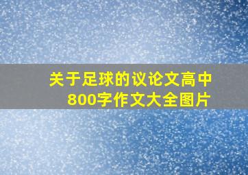 关于足球的议论文高中800字作文大全图片